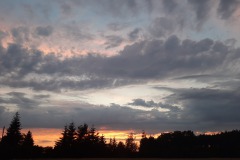 20200728_205420