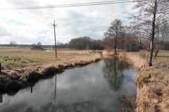 image0000022