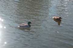 image0000032