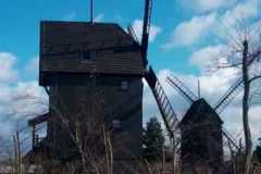 image0000051