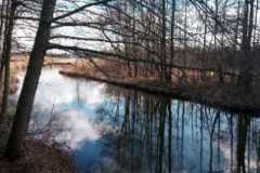 image000009